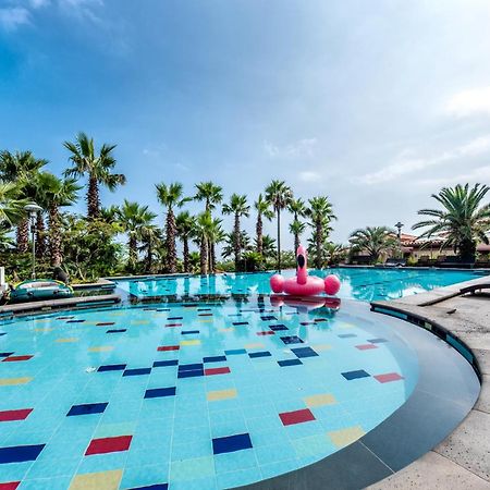 Palm Valley Resort Seogwipo Luaran gambar